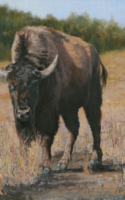 Lundeen, Carol Before the Spring - Cow BisonOil 16x16