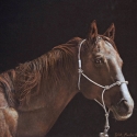 Mueller Dick Shoofly&amp;#039;s Horse Colored Pencil 16x13