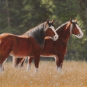 PapeMary Lou &quot;Sunday&quot; Oil 18&quot;x24&quot; $2,000.00