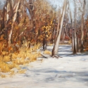 Sarka, Drew Early Snow -Jewel Oil 24x36