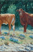 Scheidt, Bill Heifer and Cow Oil 11x14