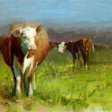 Conrad Bonnie Bovine Belle Oil 9 x 12 $1,200.00