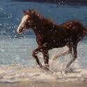 Edwards, Barbara Free Spirit Oil 12x16 $1,400.