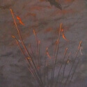 Golden Spur Award Artists Choice $250 Judy McElroy Crane Sunrise Acrylic 24 x 12 $2,400.00