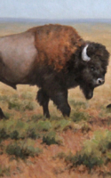 Green Jean Prairie Bison Oil 18x24 $3,400.