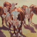 Leese, Alice Sand Ranch Herefords Oil 8x10 $800.