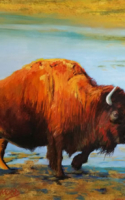 Lindamood Patsy Bison Bold Pastel 18x24 $850.