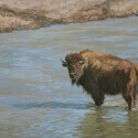 Lundeen, Carol Last One to Cross - Cow Bison Oil 12x16 $650.