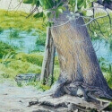 McElroy, J.I. Rubbing Tree Acrylic 20x16 $1,750.