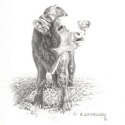 McElroy Judy Got Milk Pencil 9 x 8.5 $1,200.00