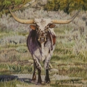 Nistler Eileen Raw Hide Colored Pencil 6 x 6 $500.00