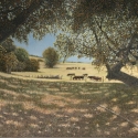 Postmus Barron Fall Pasture Oil 12 x 16 $1,800.00
