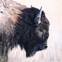 Rymer Tamara Buffalo Oil 18 x 18 $1,400.00