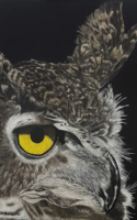 Samson Tom Great Horned Owl 10x8 $975.