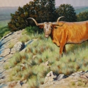 Scheidt Bill Ol&#039; Red Oil 16 x 24 $1,800.00