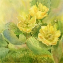 Turner Cecy Prickly Delight WC 11 x 15 $500.00