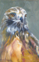 Woods Bennie Red Hawk Oil 8x10 $800.