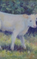 Bunch, Pam Charlette Calf 8x10 Oil $550.