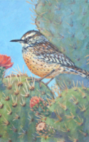 Howerton, Helen Prickly Perch 11x14 Acrylic $1,050.