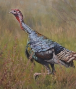 Roush, Cheryl Turkey Trot 12x16 Oil $1,100.