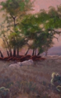 Thies, Louise Cattle In The Mist 14x18 Oil $2,000.