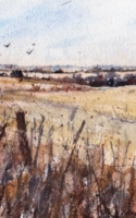 Williams, Jeff Barn SW of Perkins 26x12 Watercolor $500.