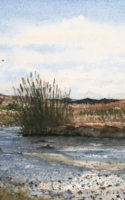 Williams, Jeff Santa Elena Canyon looking SE 9x12 Watercolor $600.