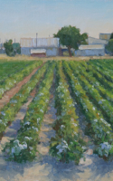 Groesser Debra Joy Ready for Harvest 9x12 oil $995