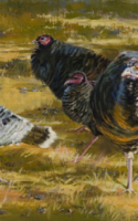 Turner,Cecy Turkey Trot 10x20 Oil $1000