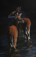 Miller, James Doe See Doe 28 x 22 Acrylic $4700