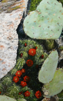 Voges,Lloyd Texas Cactus Floral #20 20x16 oil 2500