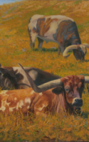 Carol Lundeen Summer Pastures - Longhorns 24x30 Oil on Linen $5000