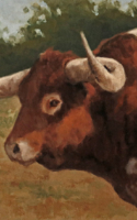 Green, Jean, Longhorn Bull, 8x10, Oil, $1,000