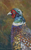 McMillan-Hayes Vickie Phasian Bird 10x8 Acrylic $1100