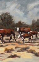 Leese, Alice Hereford Cows 11x14 oil $900