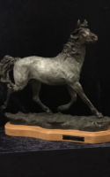 Michael, Mary High Desert Challenge 22Hx23Lx8D Bronze $4200