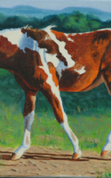 Scheidt, Bill Chief_s Pinto 9x12 oil $600