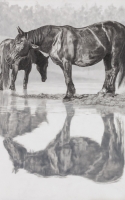 Harley-Volz, Cheryl Upon Reflection 24 x 18 Graphite $3200