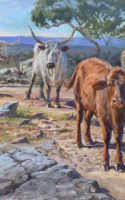 Bonham, Liz Tor Na Loch Longhorns 24x36 Oil $3400