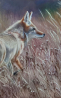 Patsy Lindamood Water Color Pencil American Plains Artists Signature Member