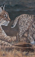 Osburn, Judy Watchful Eye 12x24 Oil $2500