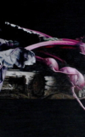 Nistler, Eileen Crimson to Violet II 11x22 colored pencil $3700