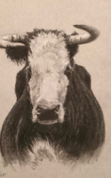 Jones, Lori Bossy 7x7 Charcoal $875