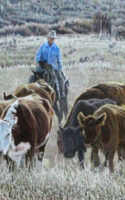 Nistler, Eileen Til the Cows Come Home 11x27 Colored Pencil $4500