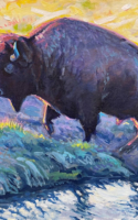 David Dorsey acrylic painting of buffalo coming out of water American Plains Artists