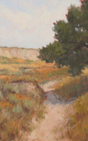 Debra Joy Groesser landscape oil painting tree and distant cliffs American Plains Artists