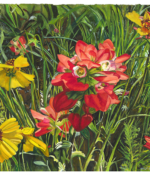 Mary Lambeth watercolor painting of red and yellow wildflowers American Plains Artists