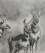 Lindamood, Patsy Ladies on the Lookout 24 x 24 Graphite on Claybord $3500