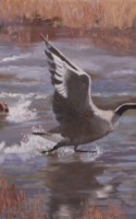 Cheryl Roush oil painting dog chasing duck in pond American Plains Artists