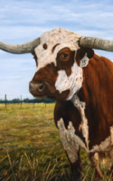 Loyd Voges oil painting Longhorn American Plains Artists